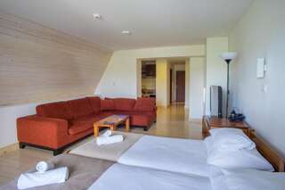 Отель Hotel Polar Star Жабляк Апартаменты-студио-3