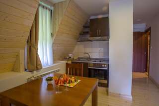 Отель Hotel Polar Star Жабляк Апартаменты-студио-13