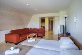 Отель Hotel Polar Star Жабляк Апартаменты-студио-15